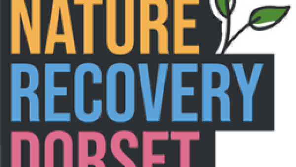 Dorset Local Nature Recovery Strategy webinars
