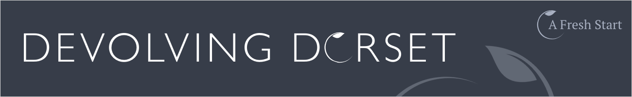 Dark grey background title; Devolving Dorset, in capitals in white. A small A Fresh Start logo in top right with mid grey leaf