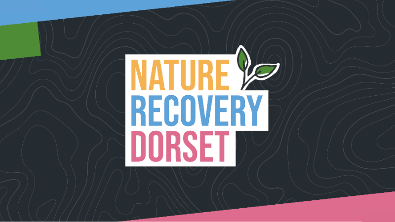 Nature Recovery Dorset logo against dark background