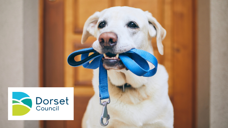 Dog holding lead in mouth