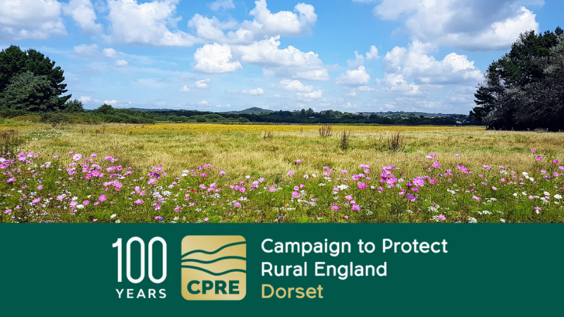 View of wildflower meadow with CPRE 100 Years logo