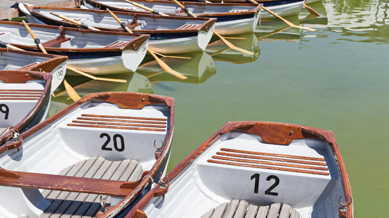 For hire rowing boats lied up waiting to be used
