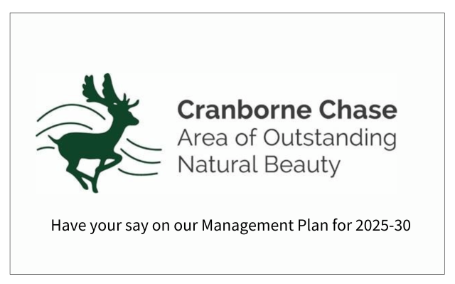 Cranborne Chase National Landscape Draft Plan 2025/30