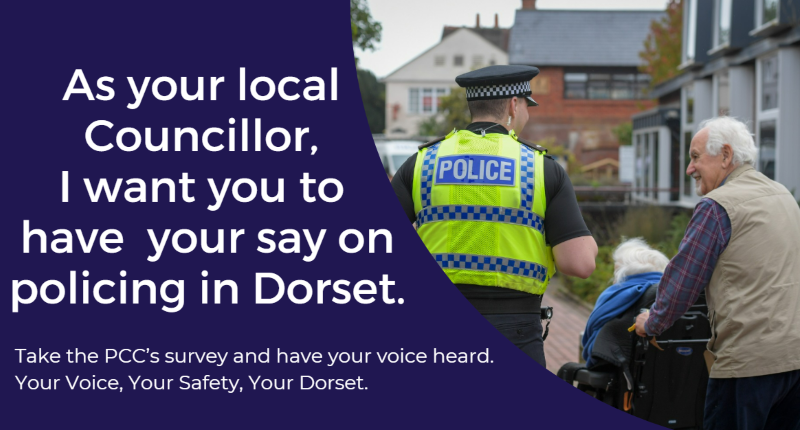 PCC Annual Safety Survey